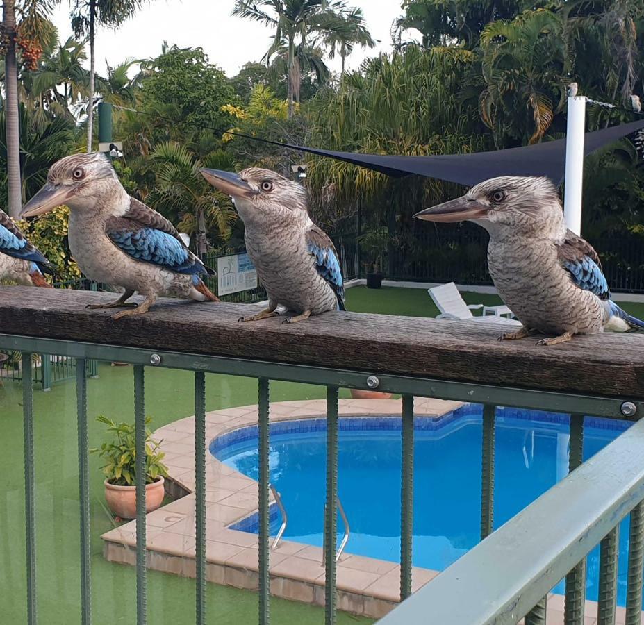 Magnetic Island Resort, Sleeps 3, Free Wifi Nelly Bay Exteriér fotografie